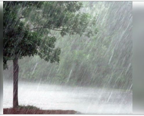 भारी बारिश के कारण आज चेन्नई समेत कई जिलों में स्कूलों में छुट्टी घोषित 