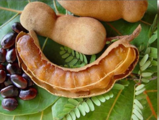 खट्टी मीठी इमली में बड़े गुण, कोलेस्ट्रॉल कंट्रोल कर दिल का रखती है खास ख्याल 