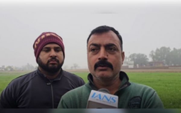 बर्फबारी और बारिश से किसानों के चेहरे पर खुशी, बोले- 'यह किसी वरदान से कम नहीं' 