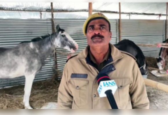 महाकुंभ में घुड़सवार पुलिस का होगा खास रोल, विभिन्न नस्लों के घोड़ों को दी जा रही ट्रेनिंग 