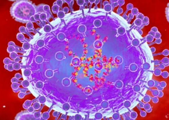 कर्नाटक में एचएमपीवी के दो मामलों की नहीं थी कोई ट्रैवल हिस्ट्री : केंद्र