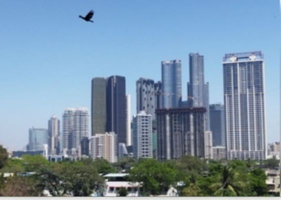 भारत में 2024 में 59 अल्ट्रा-लग्जरी घर बिके, 100 करोड़ रुपये से अधिक की 17 डील हुई 