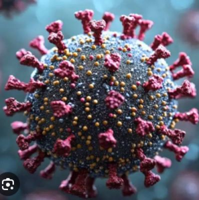 असम में 10 महीने के बच्चे में पाया गया एचएमपीवी संक्रमण