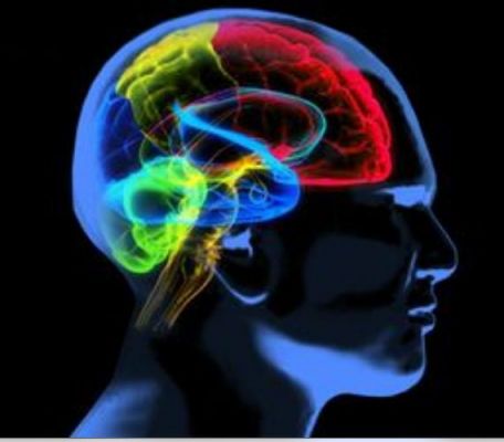 नई महंगी दवाओं के आने से अल्जाइमर रोग से जुड़े बाजार में वृद्धि की उम्मीद : रिपोर्ट 