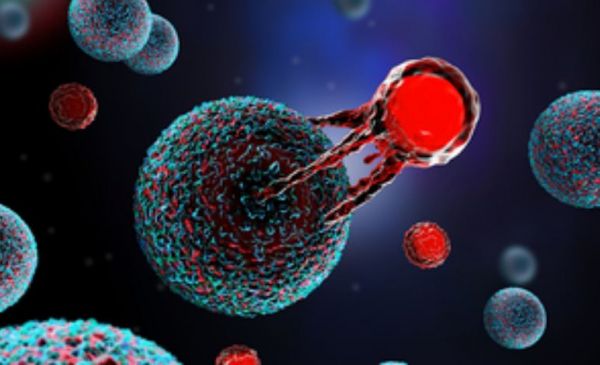 इम्यूनील ने भारत में नॉन-हॉजकिन लिंफोमा के लिए किफायती सीएआर टी-सेल थैरेपी लॉन्च की 