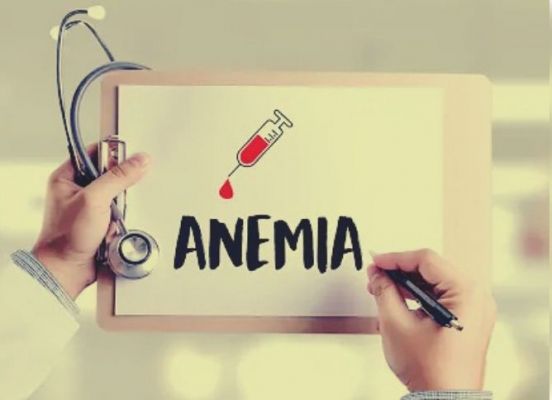 योगी सरकार सहजन के उपयोग से एनीमिया पर करेगी वार 