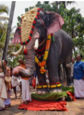 पेटा और प्रसिद्ध सितार वादक केरल के मंदिर को यांत्रिक हाथी भेंट करेंगे