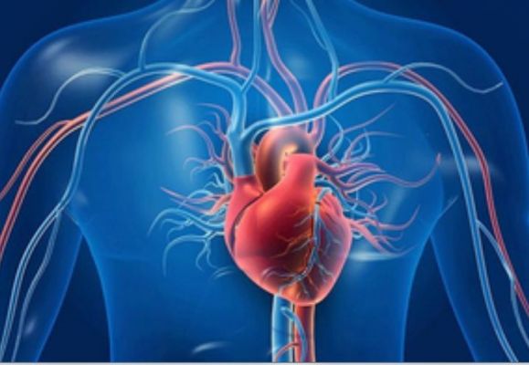 देर से मेनोपॉज शुरू होने से हृदय रोग का खतरा कम हो सकता है : अध्ययन 