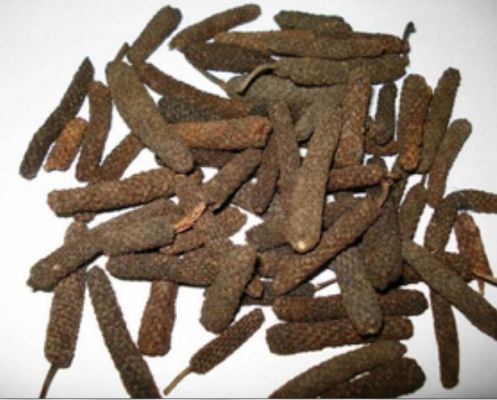 छोटी सी पिप्पली में गुण बड़े-बड़े, पेट से लेकर सांसों तक का रखती है ख्याल 