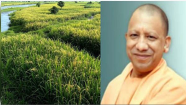उत्तर प्रदेश : गंगा ही नहीं, स्थानीय नदियों के किनारे भी तय दायरे में होगी प्राकृतिक खेती