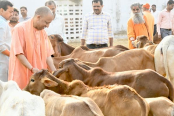यूपी के गोआश्रय स्वावलंबी बनने के साथ प्राकृतिक खेती के बनेंगे संबल