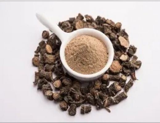 सेहत के लिए वरदान है काली मूसली, किडनी की समस्या दूर करने में मददगार 
