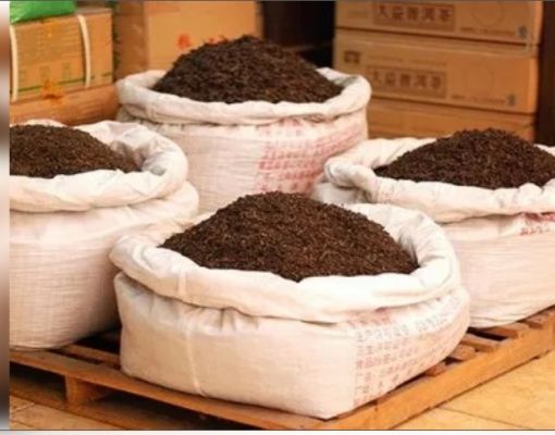 भारत का चाय निर्यात 10 साल के उच्चतम स्तर पर पहुंचा