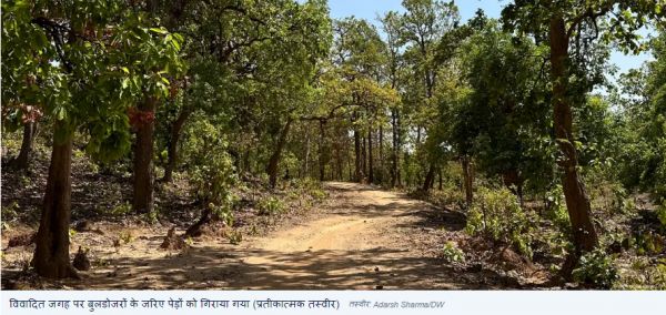‘जंगल की जमीन’ बचाने के लिए तेलंगाना सरकार से भिड़ रहे युवा