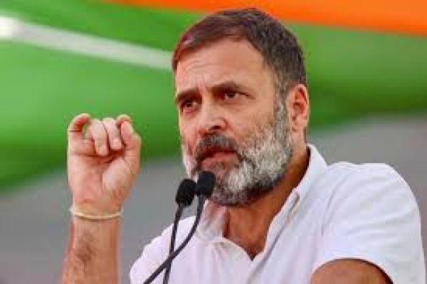 बजट में दलित, आदिवासी के लिए उचित हिस्सा सुनिश्चित करने वाले कानून की जरूरत: राहुल