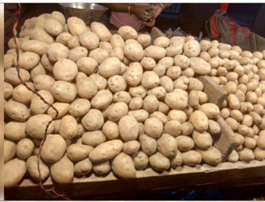 सब्जियों के राजा 'आलू' का जलवा, अंतरराष्ट्रीय आलू अनुसंधान संस्थान और सेंटर फॉर एक्सीलेंस बनेंगे मददगार 