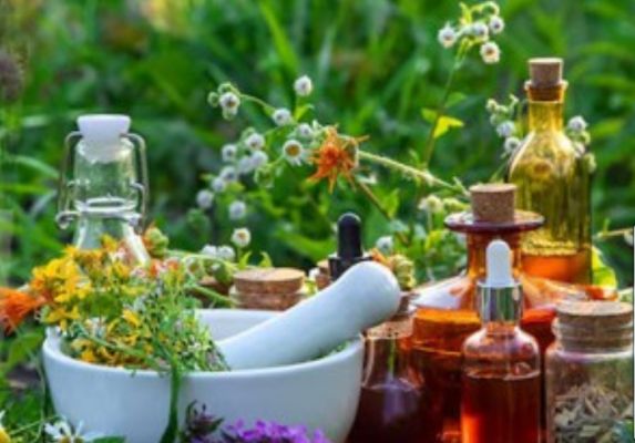 पेट की समस्या होगी दूर, आयुर्वेदिक औषधि में गुण भरपूर 