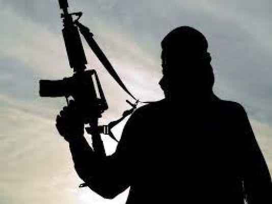 नाइजर में आतंकवादी हमले के बाद अपहृत भारतीय की पत्नी ने अपनी पति की रिहाई की गुहार लगाई
