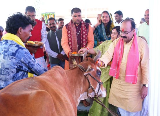 हरेली ,साव ने हल और औजारों को पूजा गौमाता को आटे की लोंदी खिलाई