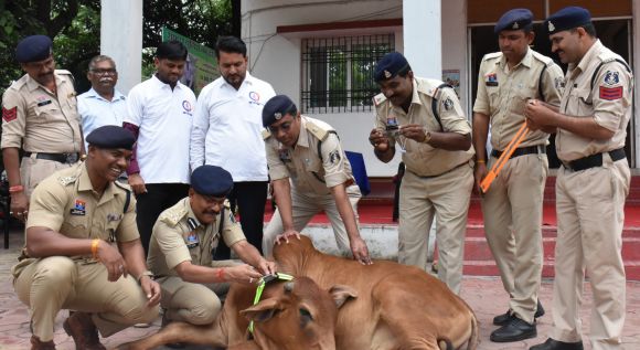 ‘छत्तीसगढ़’ का  संपादकीय : पुलिस गौसेवा कर रही है या गौ-मालिकों की सेवा?