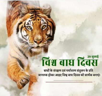 प्रदेश के जंगलों में घूम रहे 35 बाघ, एक साल में 5 बढ़ गए