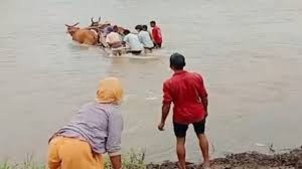 एमपी: गर्भवती महिलाओं को कहीं बैलगाड़ी से तो कहीं चारपाई पर लिटाकर एंबुलेंस तक पहुंचाया गया