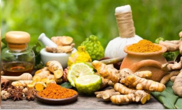 सिद्ध प्रणाली: त्रिदोष को संतुलित तो पाचन तंत्र को मजबूत करने का प्रभावी तरीका 