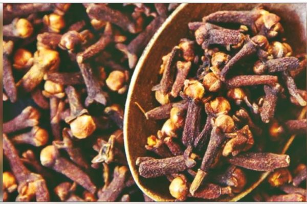 लौंग: खुशबूदार मसाला वातनाशक और औषधीय गुणों से भरपूर 