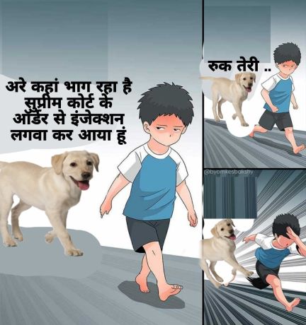‘छत्तीसगढ़’ का  संपादकीय : कुत्तों पर सुप्रीम फैसला पलटा, अब सडक़ें उनकी