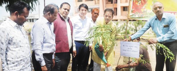 कौशल्या माता विहार के सेक्टर-9 में वृहद रूप से एक पेड़ मां के नाम हुआ पौधरोपण