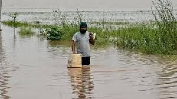 पंजाब बाढ़: किसानों के लिए लाई गई 'जिसका खेत, उसकी रेत' नीति क्या है?