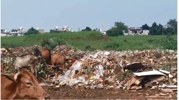 कौशल्या विहार बना कचरा विहार, लोग बिमारियों से जकड़ रहे