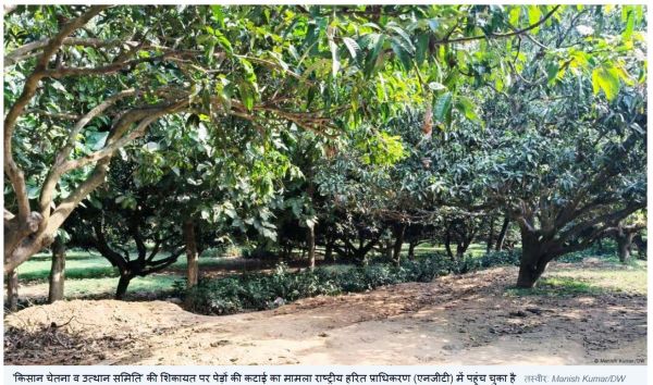 बिहार: अदाणी पावर प्लांट वाली जमीन पर असल में कितने पेड़?