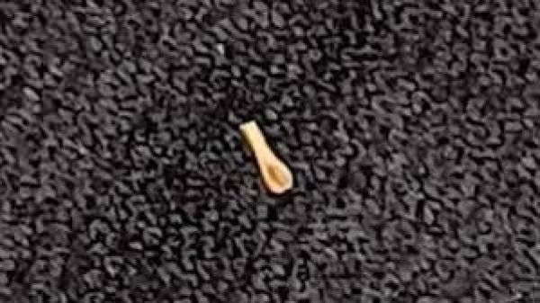 ओडिशा के इंजीनियर ने लकड़ी का 1.1 मिलीमीटर चम्मच बनाकर विश्व रिकॉर्ड बनाया