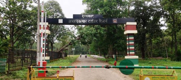  एक नवंबर से होगा अचानकमार टाइगर रिजर्व में सैर-सपाटा, ऑनलाइन बुकिंग शुरू