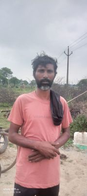 जंगली सुअर के 50 किलो मांस के साथ एक गिरफ्तार 