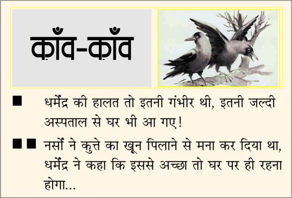 दैनिक 'छत्तीसगढ़' का काँव-काँव, 13 नवंबर 2025