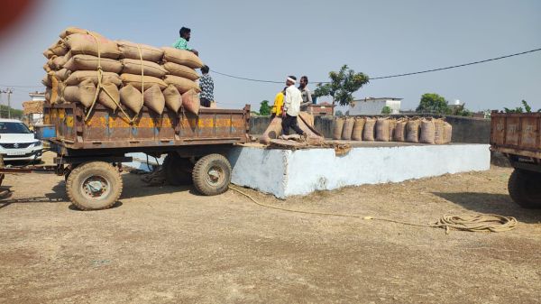 समर्थन मूल्य पर धान खरीदी प्रारंभ: पहले दिन 19464 क्विंटल का उपार्जन