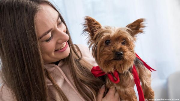 पप्पियों में भी मौजूद होता है भेड़ियों का डीएनए