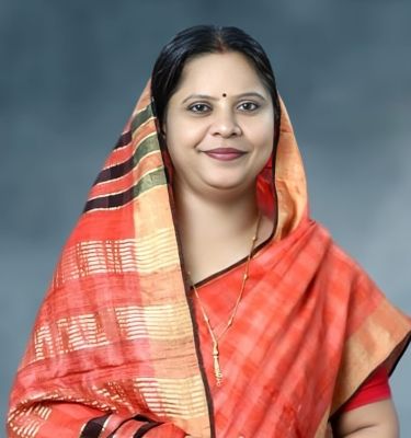 भारत नेट 2.0 परियोजना में भ्रष्टाचार-कुप्रबंधन का मामला लोस में उठा  