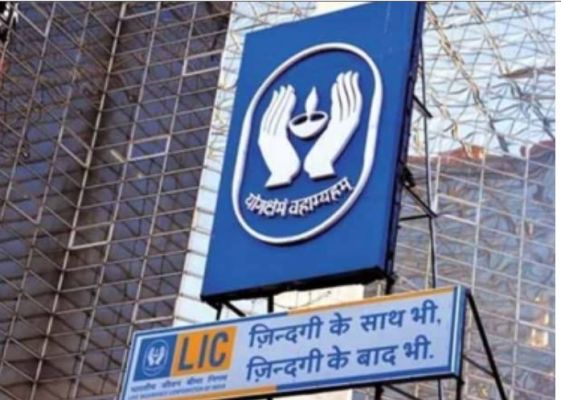 भारत के लाइफ-इंश्योरेंस सेक्टर ने किया कमाल, नवंबर में की जोरदार वापसी; एलआईसी सबसे आगे