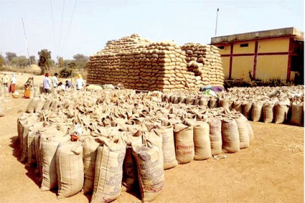 धान खरीदी, अब दिन-रात कभी भी मिलेगा तूहर टोकन