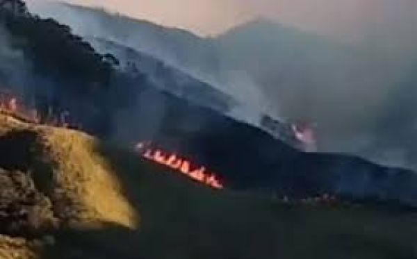 नगालैंड की जुकोऊ घाटी तीसरे दिन भी वनाग्नि की चपेट में, हेलीकॉप्टर से राहत अभियान चलाने की संभावना