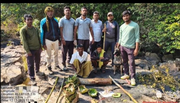  उदंती-सीतानदी टाइगर रिजर्व में सांभर का शिकार, 12 गिरफ्तार, फरार आरोपियों की तलाश