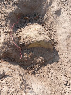 10 किलो का बम बरामद