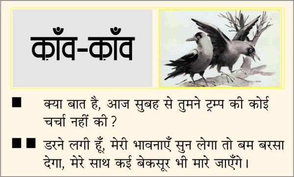 दैनिक 'छत्तीसगढ़' का काँव-काँव, 8 जनवरी 2026