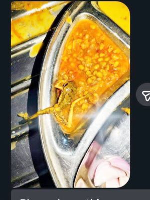 नांदगांव के छत्तीसगढ़ डेंटल कॉलेज में छात्रों के खाने में मिले मेंढक और कीड़े