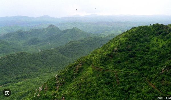 अरावली के पुनर्जीवन की वैज्ञानिक रूपरेखा पेश, 20% जल स्रोत खत्म होने की चेतावनी