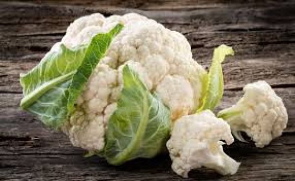 कल अंतिम दिन, विभाग का आदेश आज, उद्यानिकी फसलों के लिए बीमा पंजीयन कल तक