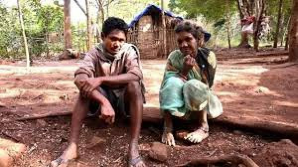 घने जंगल में पहाड़ी पर 25 वर्षों से अकेले रह रहा है यह परिवार, शहर लाने की हर कोशिश रही नाकाम